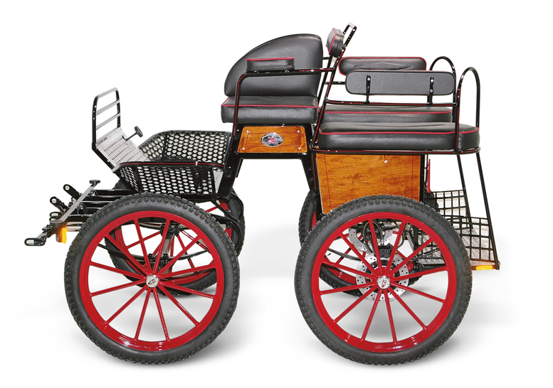 Recreational carriage Wagonette MIX-L-125 - Recreational 