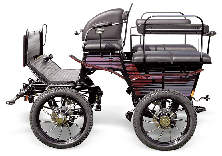 Recreational carriage Wagonette WG-148 - Recreational 