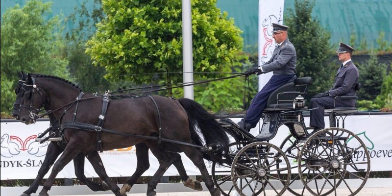 Glinkowski Driving Team defended the title of the Polish Champion two-horse carriage driving
