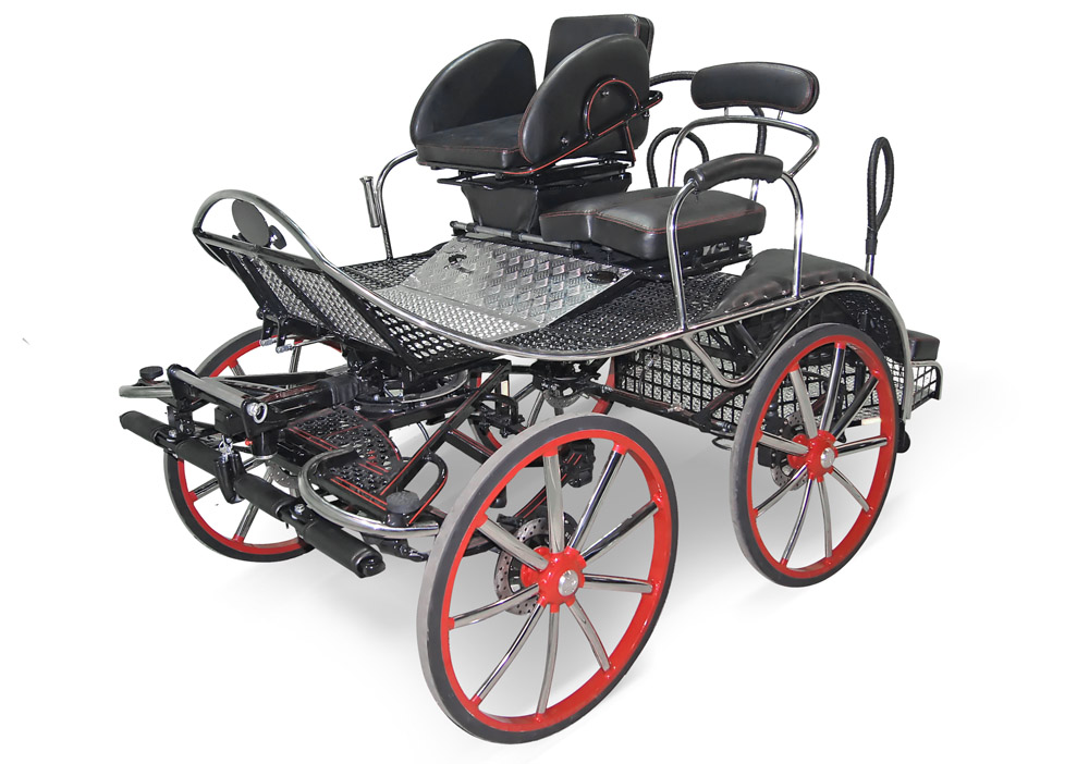 Sport carriage Double Sport DS-280 - Marathon 