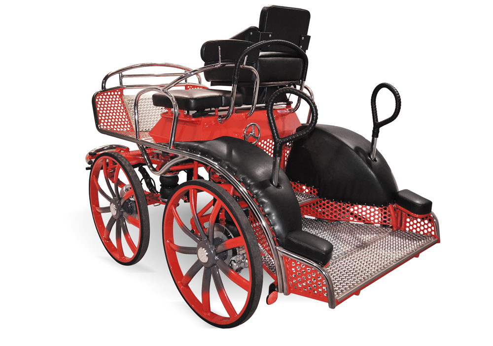 Sport carriage Double Sport DS-600 - Marathon 