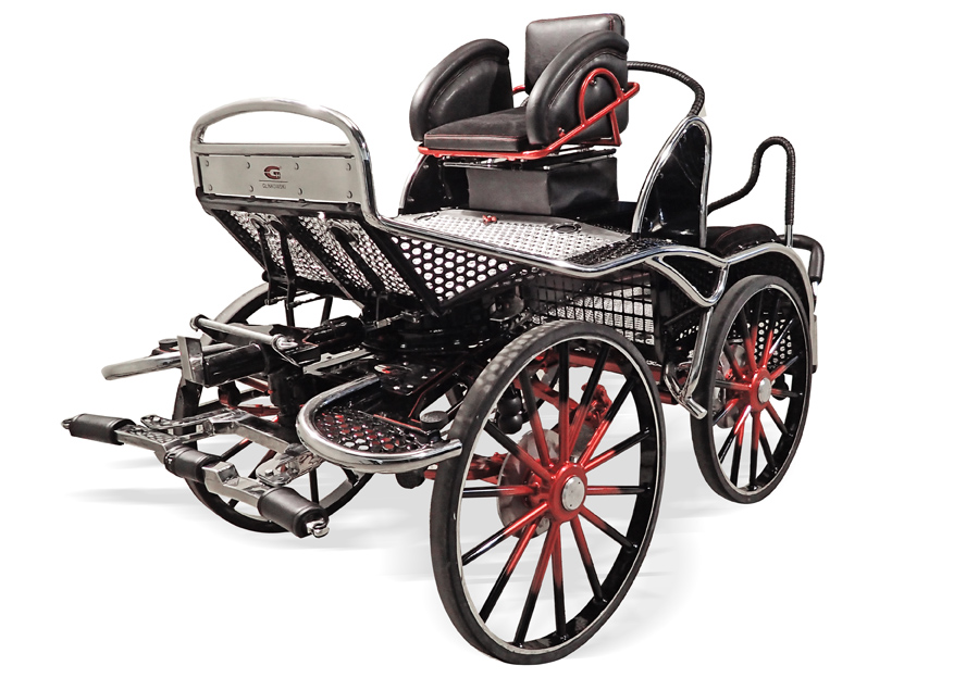 Sport carriage Double Sport DS-600 PRO - Marathon 