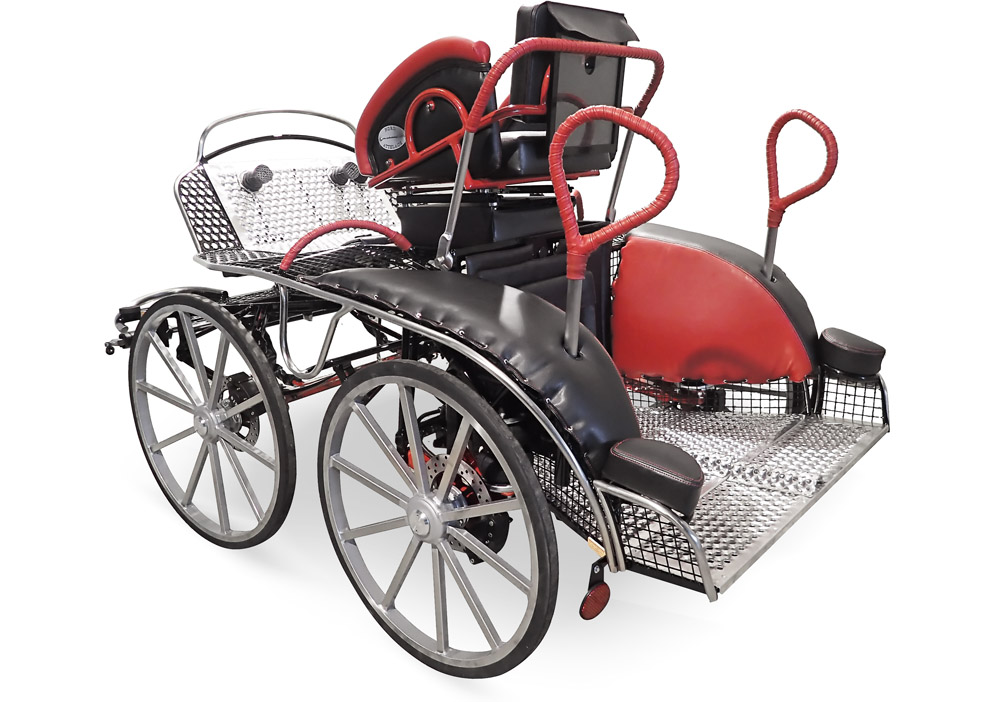 Bryczka sportowa TIGER 220/2P - Maraton Trening 