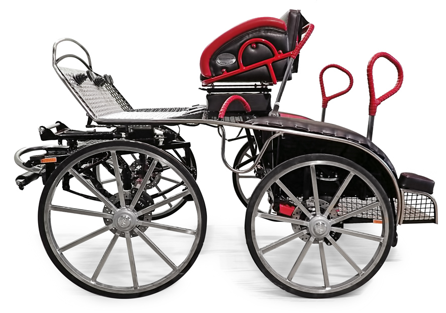 Sport carriage TIGER 220/2P - Marathon Training 