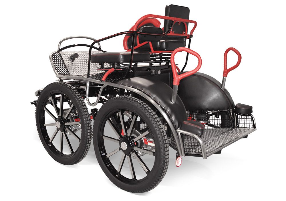 Sport carriage TIGER 350/2 - Marathon Training 