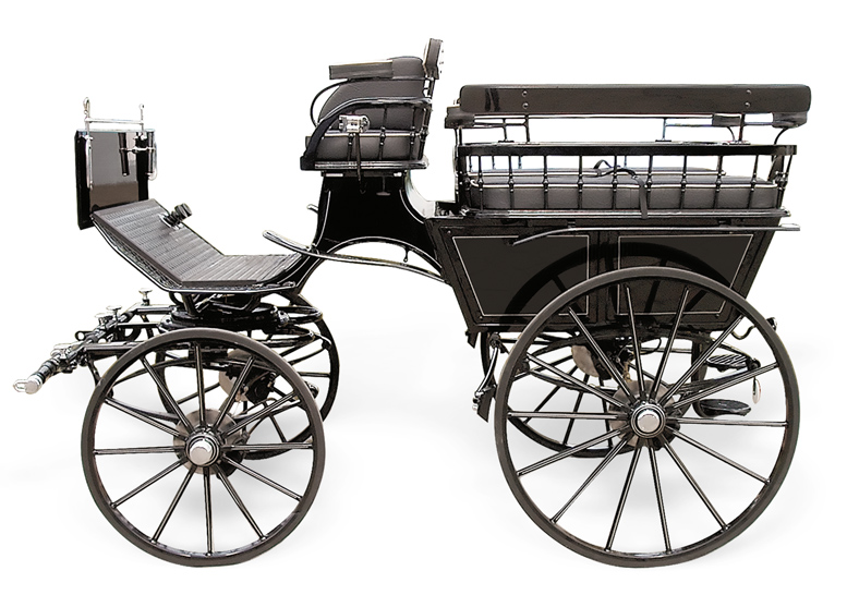 Recreational carriage Wagonette Exclusive - Recreational 