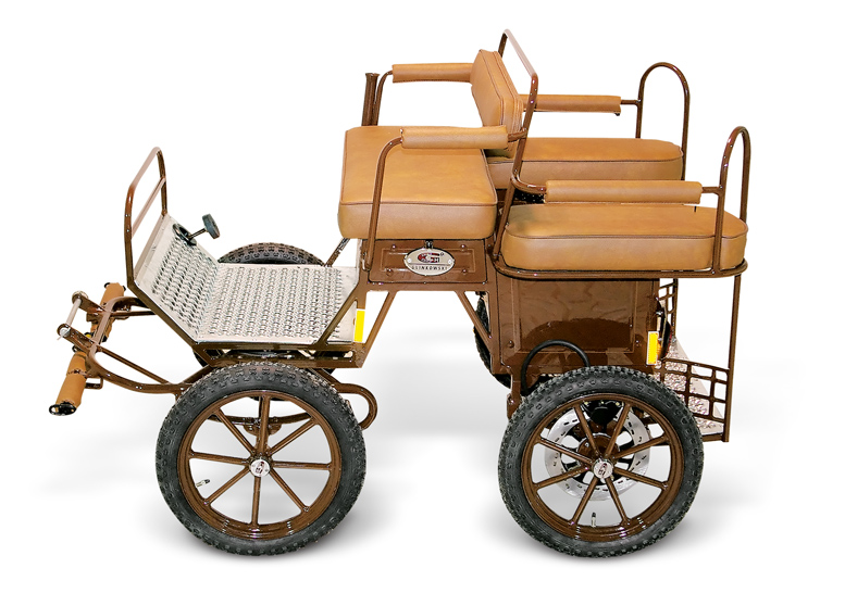 Carruaje recreativo Wagonette Mini-MIX - Recreativo 
