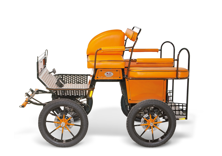 Carruaje recreativo Wagonette MIX-110 - Recreativo