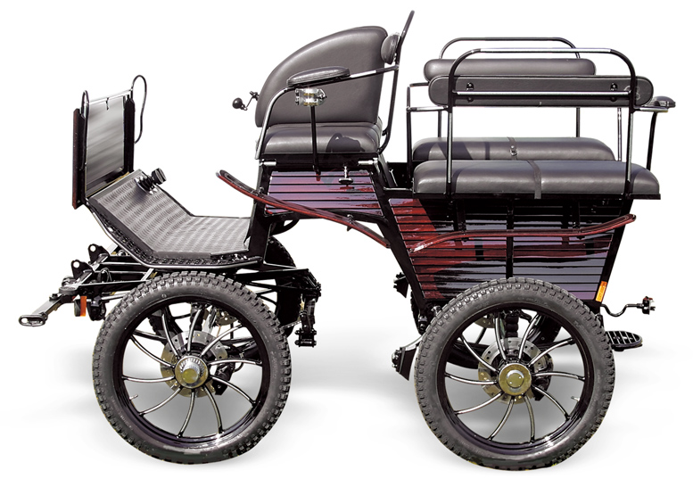 Recreational carriage Wagonette WG-158 - Recreational 