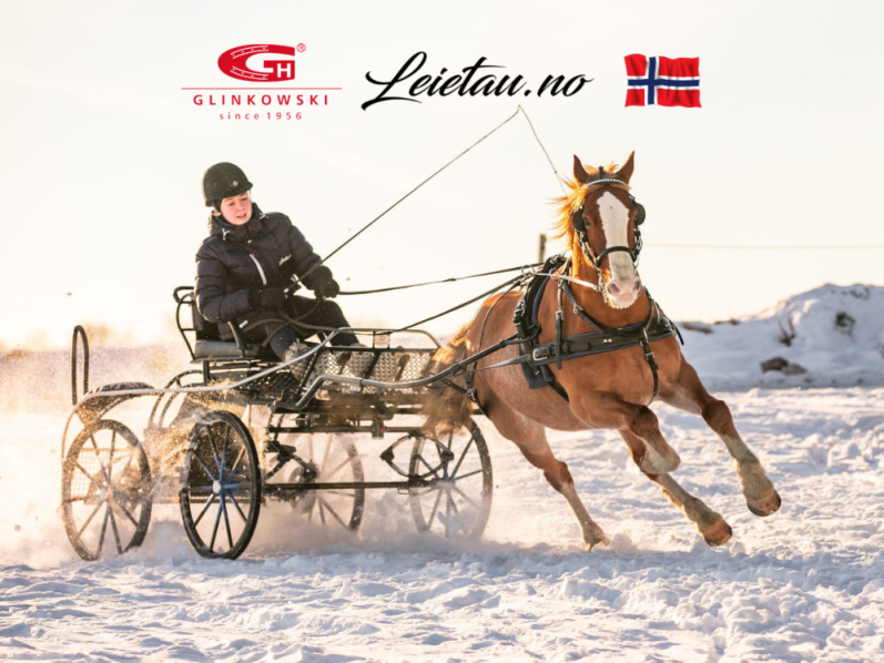 polnische kutsche Glinkowski Norwegischer Händler