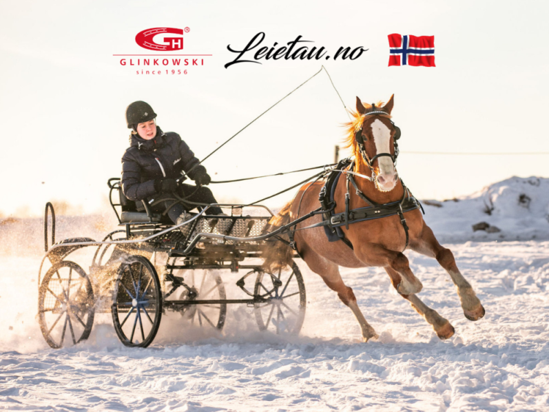 horse drawn carriage Glinkowski Norway dealer 