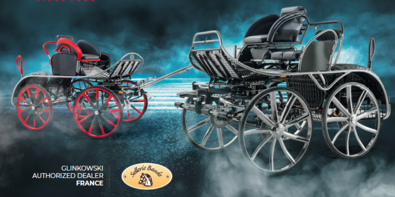 State Coach horse carriage unlike any other. - GLINKOWSKI - CARRIAGES