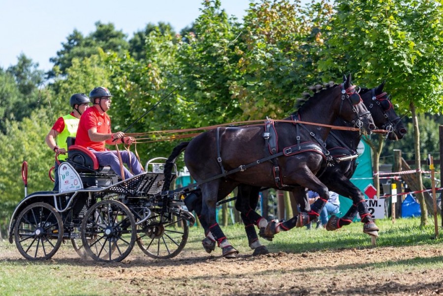 Marathon Double Sport 350 - Glinkowski Driving Team defended the title of the Polish Champion two-horse carriage driving 