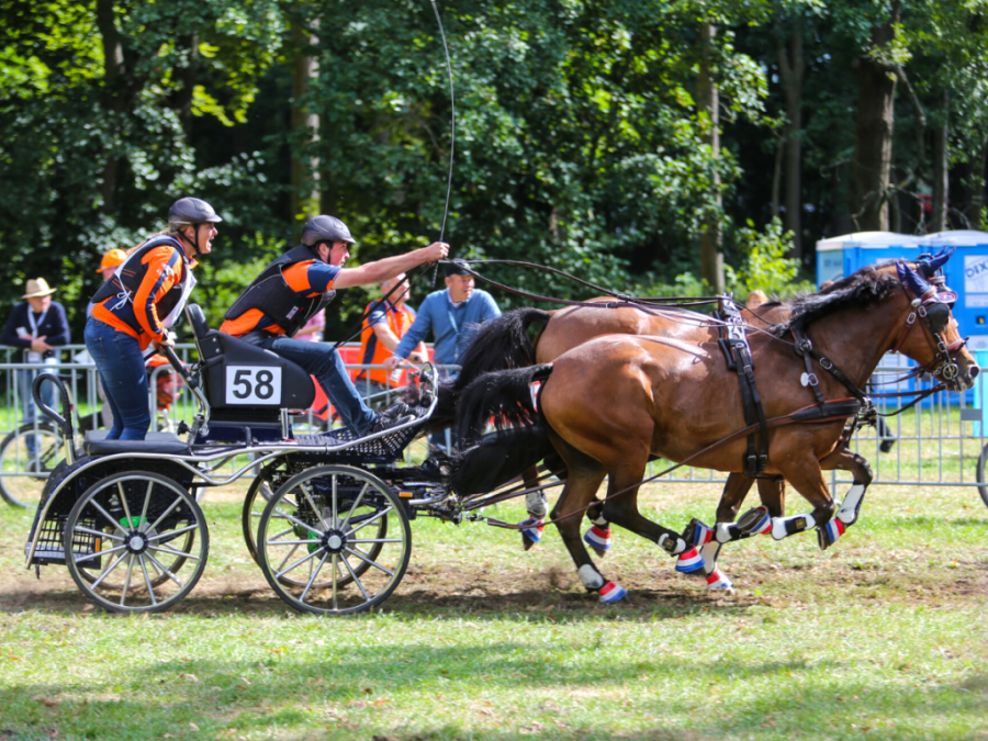 Stan van Ejk Photo Amy Mundell Equestrian Photography Bryczka Horse drawn carriage Kutschen Attelage Choche de caballos Marathon Maestro by Glinkowski