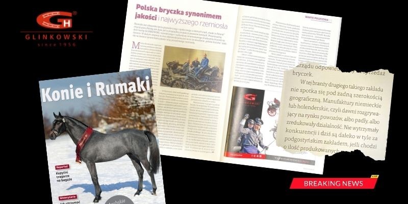 Coche de caballos polaco como un sinónimo de la calidad y artesanía más altas