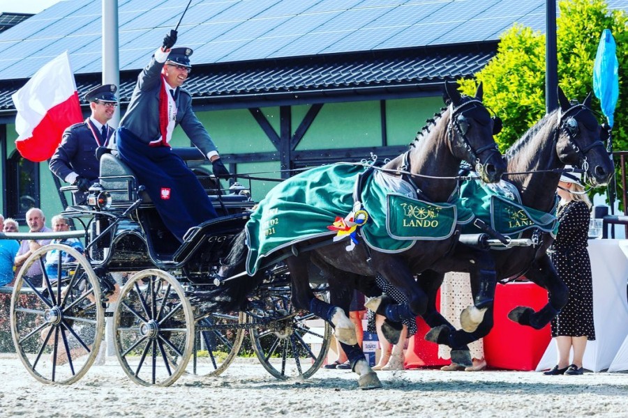 Speider Ultra Light - Marathon Double Sport 350 - Glinkowski Driving Team defended the title of the Polish Champion two-horse carriage driving 