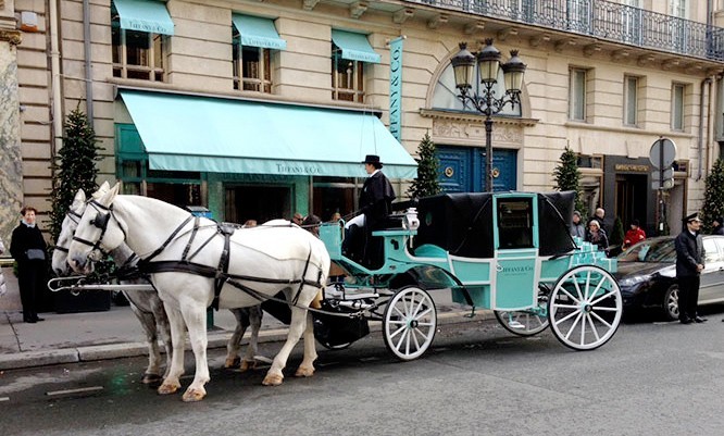 bryczka Landauer for Tiffany GLINKOWSKI horse drawn carriage kutsche pferdekutsche attelage coche de caballos 1