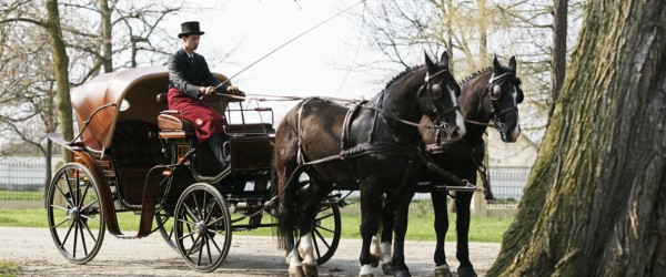 Coches de caballos de CLÁSICOS