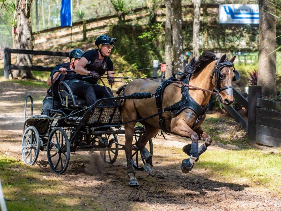 Jennifer Keeler en un carro de maratón Falcon, fabricado por la empresa polaca Glinkowski, gana la competencia en Live Oak International USA