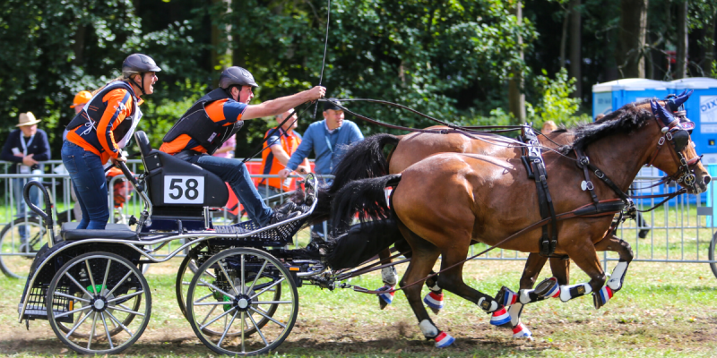 State Coach horse carriage unlike any other. - GLINKOWSKI - CARRIAGES