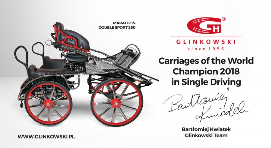 Glinkowski horse carriage Double Sport 250